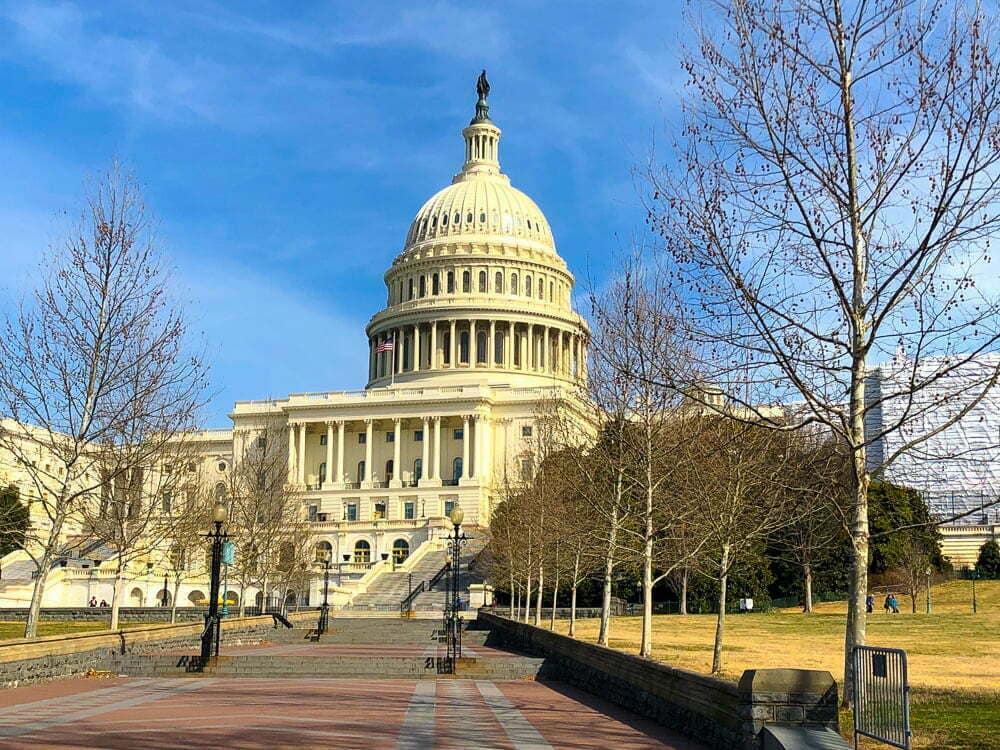 A Look at the 119th Congress